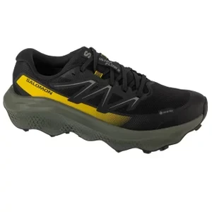 Salomon Ultra Flow 2 GTX L47883200, Męskie, Czarne, buty do biegania, tkanina, rozmiar: 41 1/3