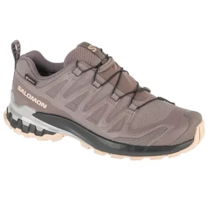 Salomon XA Pro 3D v9 GTX W L47744500, Damskie, Szare, buty do biegania, tkanina, rozmiar: 37 1/3