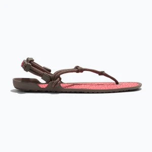 Sandały barefoot damskie Xero Shoes Aqua Cloud moel/sunset coral