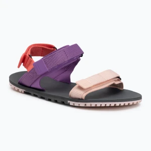 Sandały barefoot damskie Xero Shoes D-Trail dewberry / multi