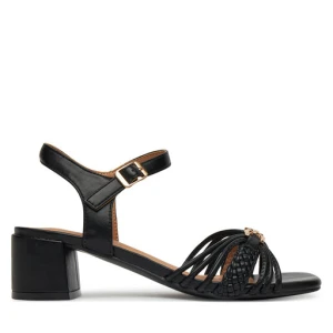 Sandały Clara Barson WS24055-05