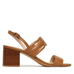 Sandały Liu Jo Sofi 02 SA5149 P0062 Brązowy