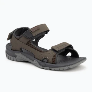 Sandały męskie Jack Wolfskin Lakewood Cruise cold coffee