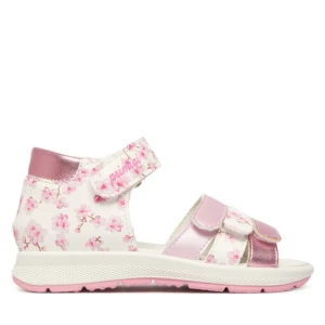 Sandały Primigi 1365411 S Kolorowy