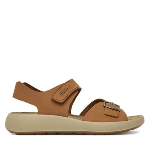 Sandały Primigi 7898800 D Brązowy