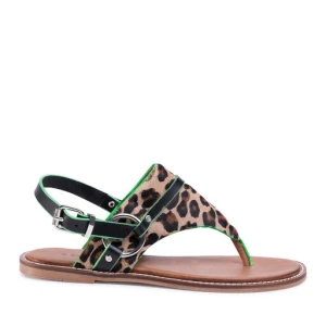 Sandały Sergio Bardi SB-50-09-000473 Brązowy