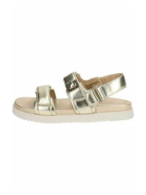 Sandały Steve Madden