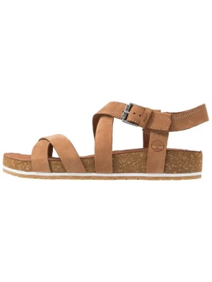 Sandały Timberland brązowy