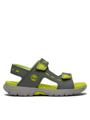 Sandały Timberland Moss Jump 2 Strap Sandal TB0A66T1L951 Khaki
