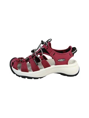 Sandały trekkingowe Keen