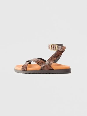 Sandały z cholewką Steve Madden brązowy