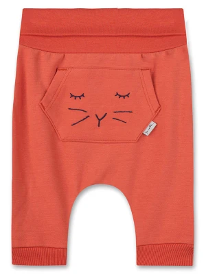 Sanetta Kidswear Spodnie dresowe w kolorze pomarańczowym rozmiar: 74