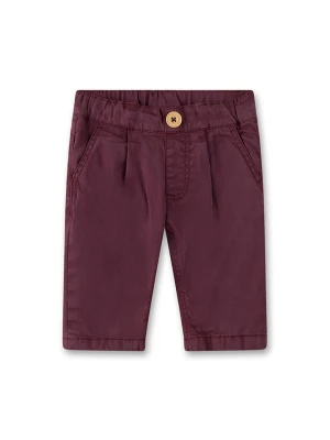 Sanetta Kidswear Spodnie w kolorze ciemnoczerwonym rozmiar: 116
