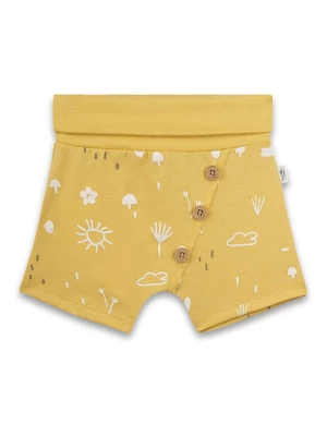 Sanetta Kidswear Szorty w kolorze żółtym rozmiar: 68