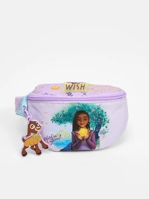 Saszetka nerka Disney