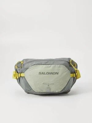 Saszetka nerka Salomon