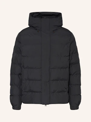 Save The Duck Kurtka Pikowana schwarz