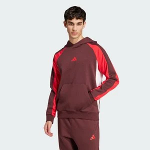 Seasonal Essentials Colorblock Hoodie Adidas