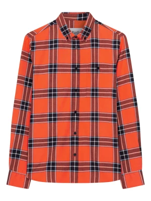 Seidensticker Koszula - Regular fit - w kolorze pomarańczowym rozmiar: XXL