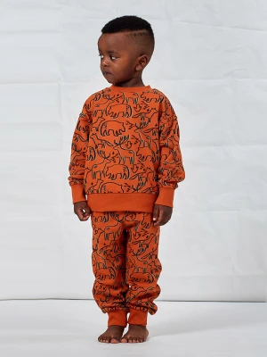 Sense Organics Bluza "Dari" w kolorze pomarańczowym rozmiar: 128