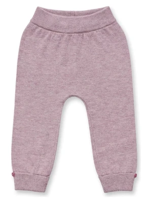 Sense Organics Legginsy "Pablo" w kolorze fiołkowym rozmiar: 92