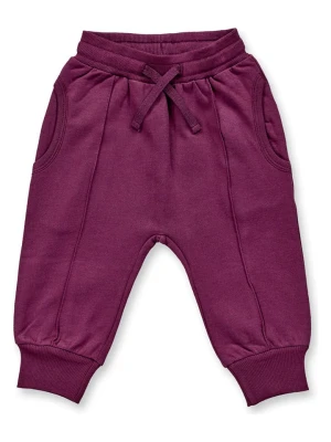 Sense Organics Spodnie dresowe "Nevin" w kolorze ciemnofioletowym rozmiar: 92