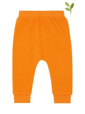 Sense Organics Spodnie dresowe w kolorze pomarańczowym rozmiar: 80