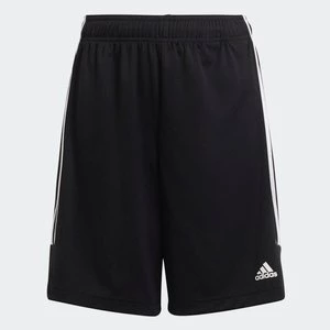 Sereno Shorts Adidas