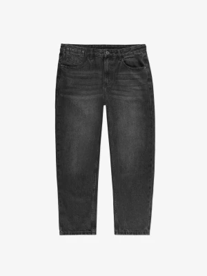 Serif jeansy męskie tapered szare Prosto