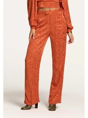 SHIWI Spodnie w kolorze pomarańczowym rozmiar: M