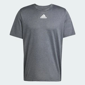 Short Sleeve Pregame Badge of Sport T-Shirt Adidas