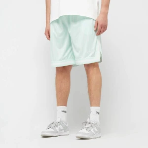 Karl Kani Signature Pinstripe Mesh Shorts mężczyźni Szorty sportowe zielony rozmiar Odzież