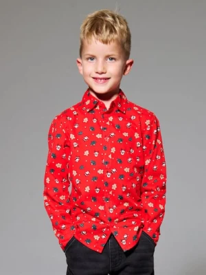 Sinsay - Bawełniana koszula z motywem świątecznym - czerwony