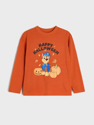 Sinsay - Bawełniana koszulka longsleeve z motywem halloweenowym PAW Patrol - pomarańczowy