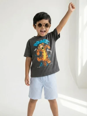 Zdjęcie produktu Sinsay - Bawełniana koszulka Winnie the Pooh - szary