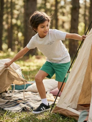 Sinsay - Bawełniana koszulka z haftowanym napisem Nature Fan Forever - szary