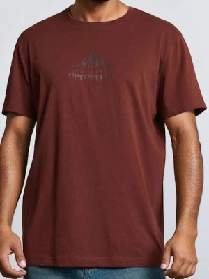 Sinsay - Bawełniana koszulka z nadrukiem - czerwony