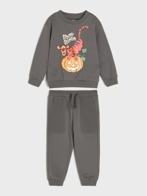 Sinsay - Bawełniany komplet: bluza z motywem Halloween, świecącym w ciemności nadrukiem i spodnie Winnie the Pooh - szary