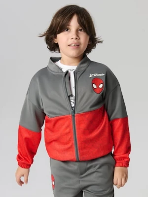 Sinsay - Bluza bomberka z nadrukiem Spiderman - szary