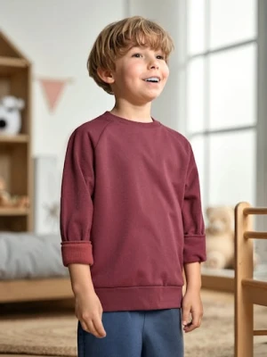 Sinsay - Bluza - bordowy