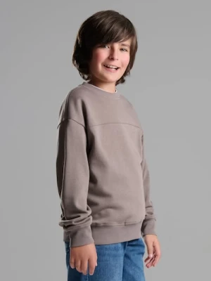 Sinsay - Bluza crewneck basic - brązowy