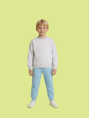 Sinsay - Bluza crewneck basic - szary