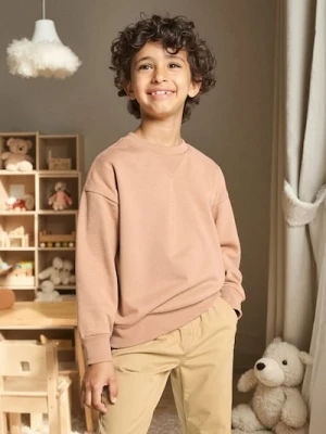 Sinsay - Bluza crewneck - brązowy