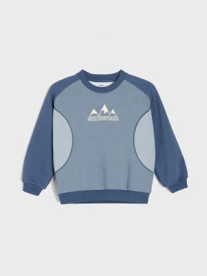 Sinsay - Bluza crewneck loose z dekoracyjnymi cięciami i kontrastową lamówką - szary