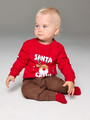 Sinsay - Bluza crewneck z motywem świątecznym - czerwony