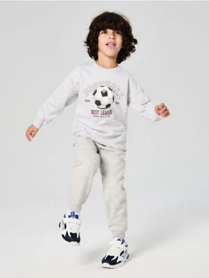Sinsay - Bluza crewneck z nadrukiem - szary