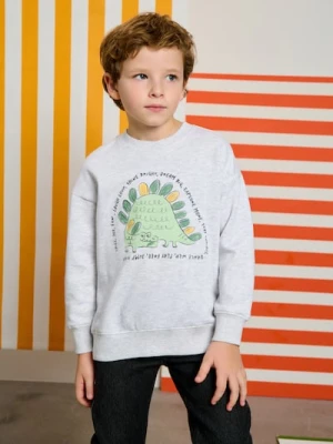 Sinsay - Bluza crewneck z nadrukiem - szary