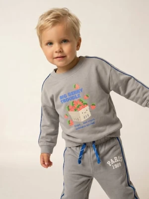 Sinsay - Bluza crewneck z nadrukiem truskawek - szary