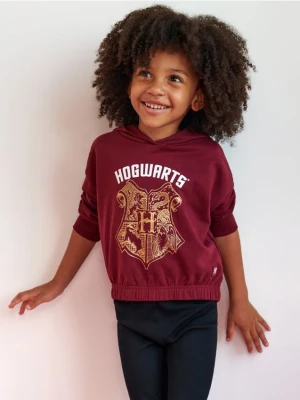 Sinsay - Bluza Harry Potter - bordowy