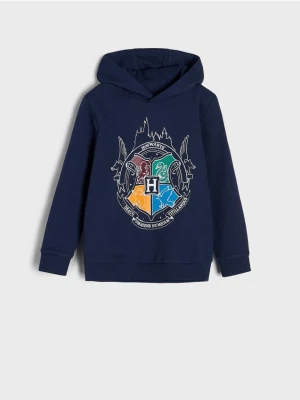 Sinsay - Bluza Harry Potter - granatowy